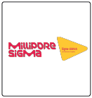 Logo 8