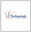 Logo 20